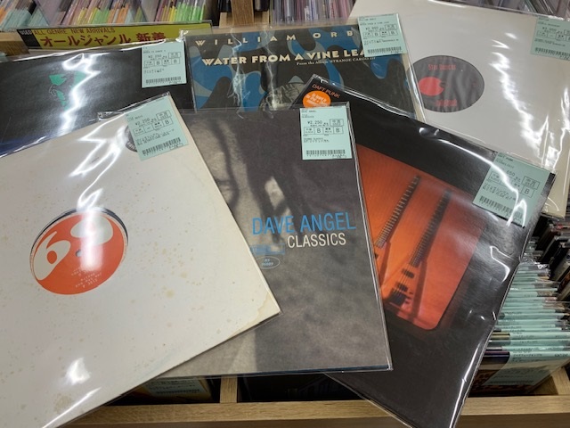 Dinner Party Enigmatic Society クリアビニール Dinner Party Enigmatic Society クリアビニール