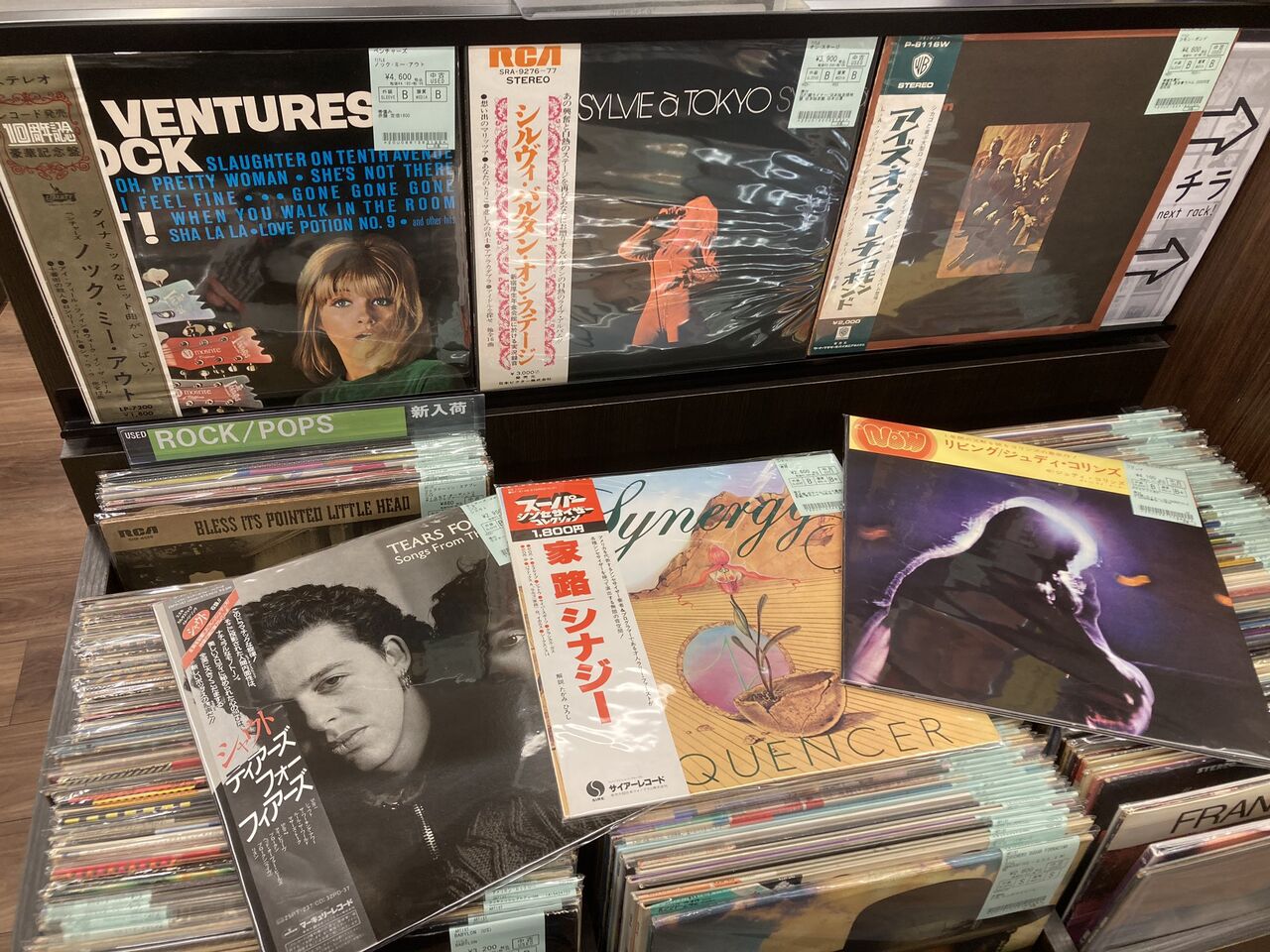 中古 PHAIDIA キャー 参加オムニバス レコード \"R.B.F. 1984 中古 PHAIDIA キャー 参加オムニバス レコード 