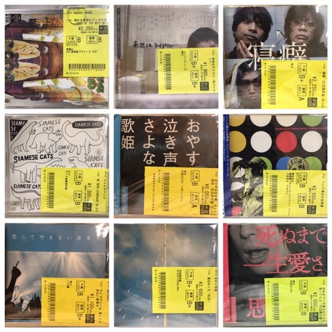 11/25(火)日本のロック/ポップス中古CD入荷情報】カネコアヤノ