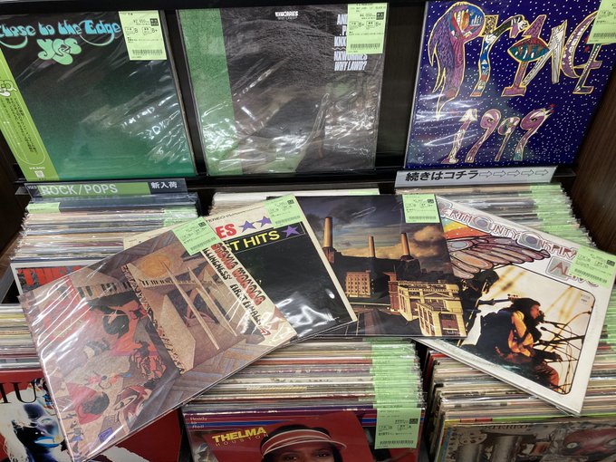 7/27(日) ROCK/POPS中古レコード新入荷情報】US-FOLK/SSWオリジナル盤