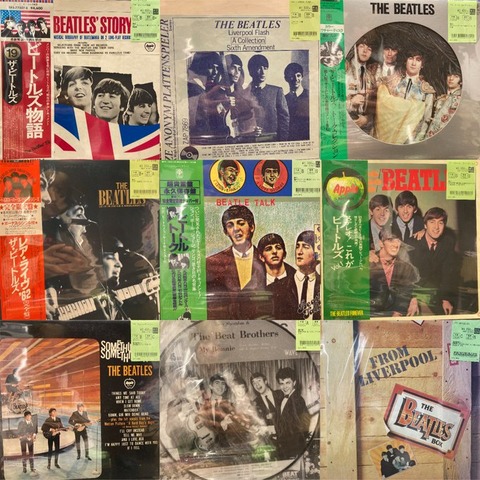 ニッカボッカーズ 名盤 レコード ライズ USオリジナルモノ盤 芽