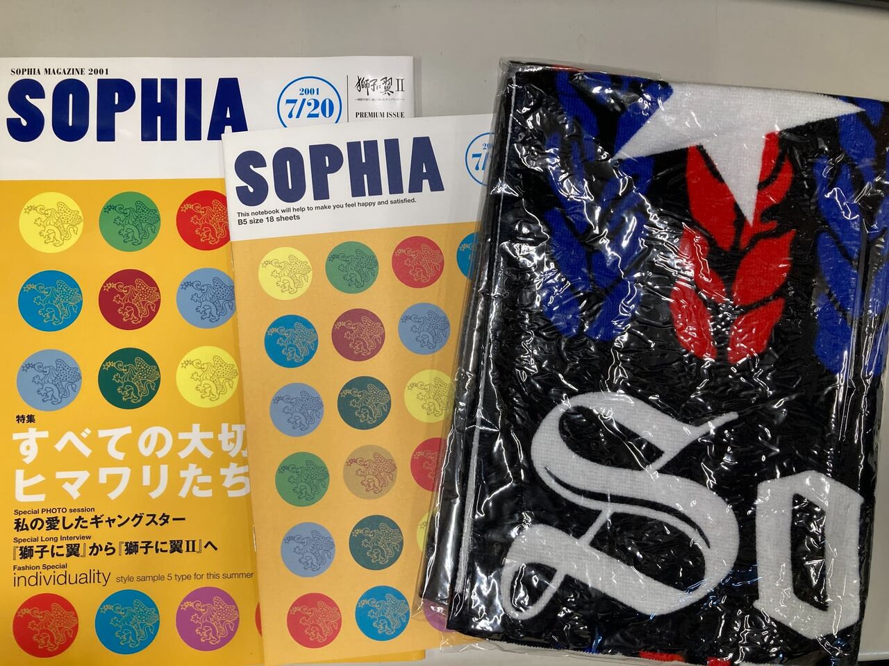6月23日(火) SOPHIA 大量入荷しました♪ : ディスクユニオン新宿中古