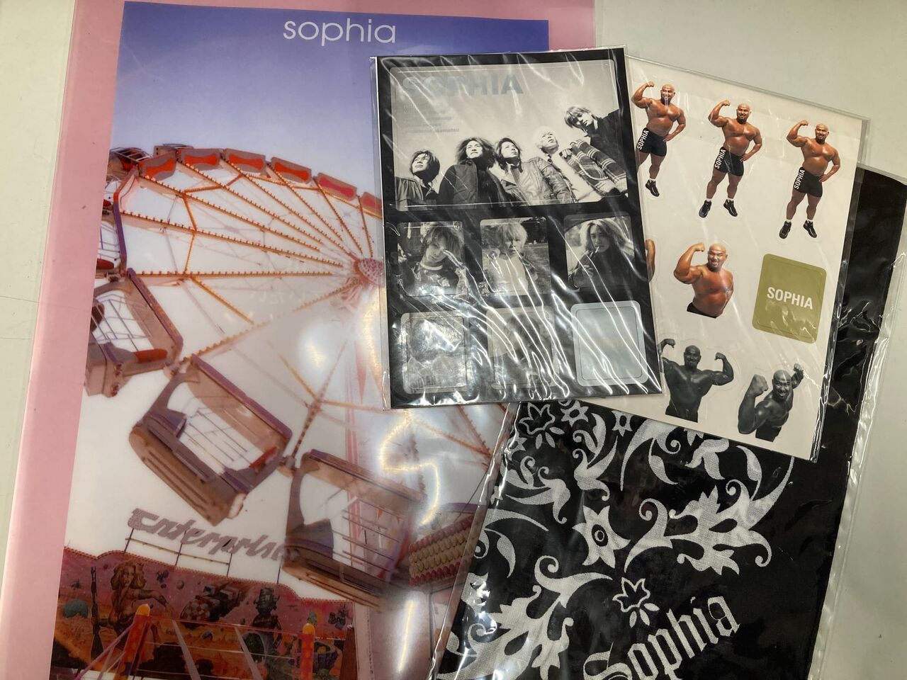 SOPHIA DVD/CD/VHS/フライヤー　グッズ　まとめ売り 6月23日(火) SOPHIA 大量入荷しました♪ : ディスクユニオン新宿中古