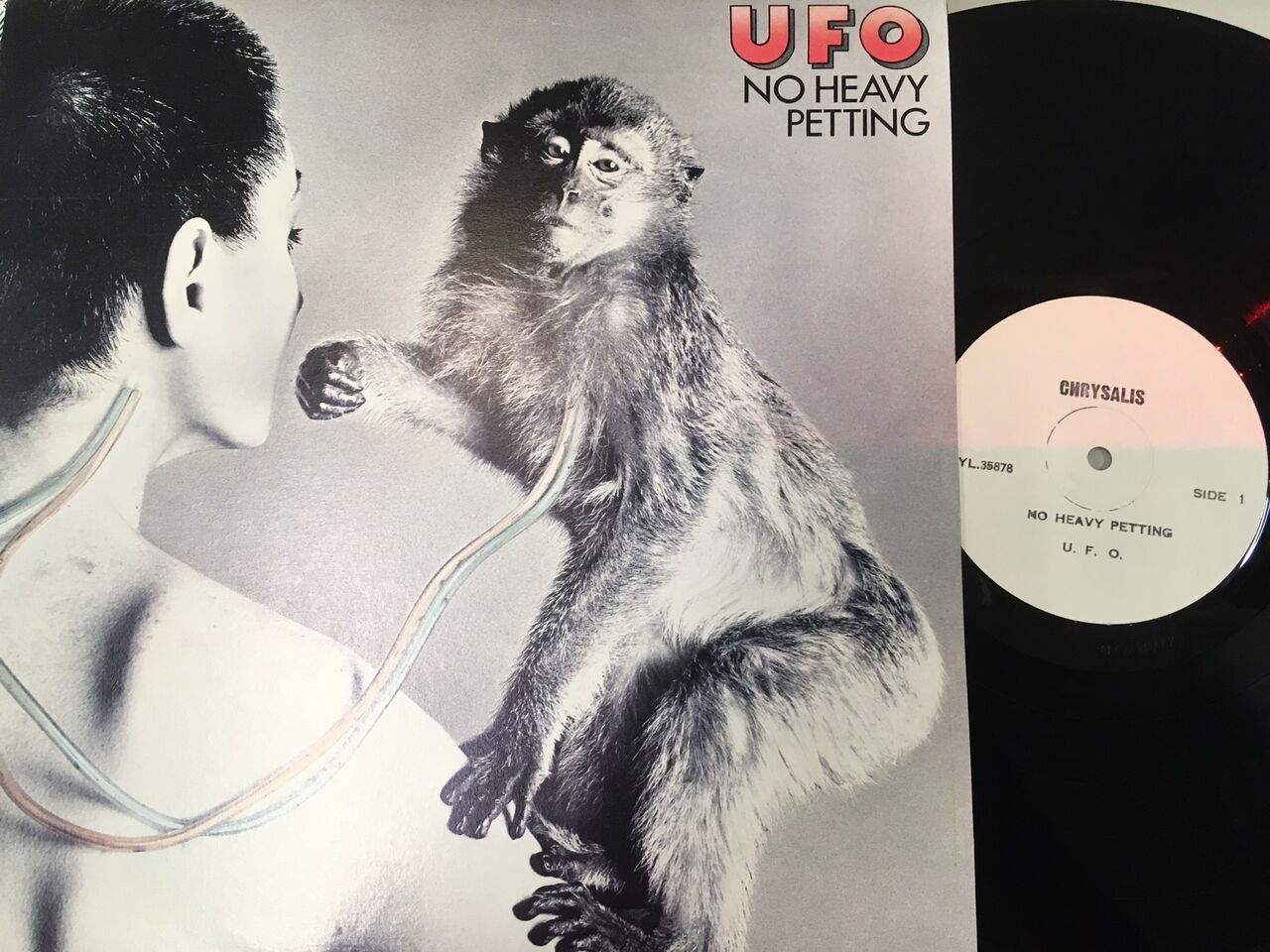 レア盤］Die Deutschen Kommen Zurück!LPレコード