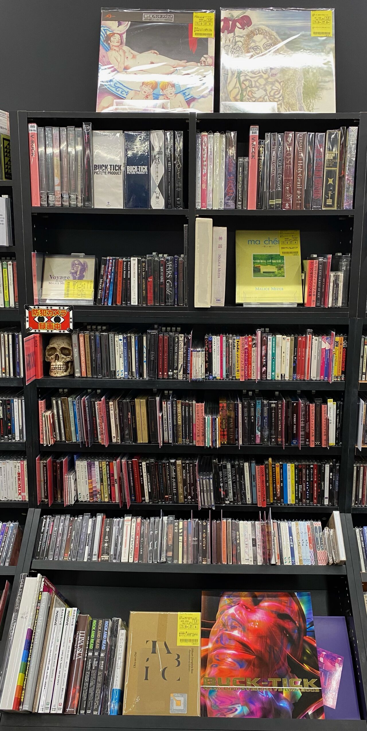 5月20日(土) MALICE MIZER＆関連作品、まとまって入荷！ : ディスク