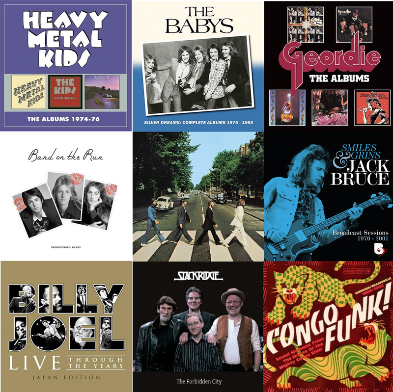 1995年来日公演 スティング ギターピック