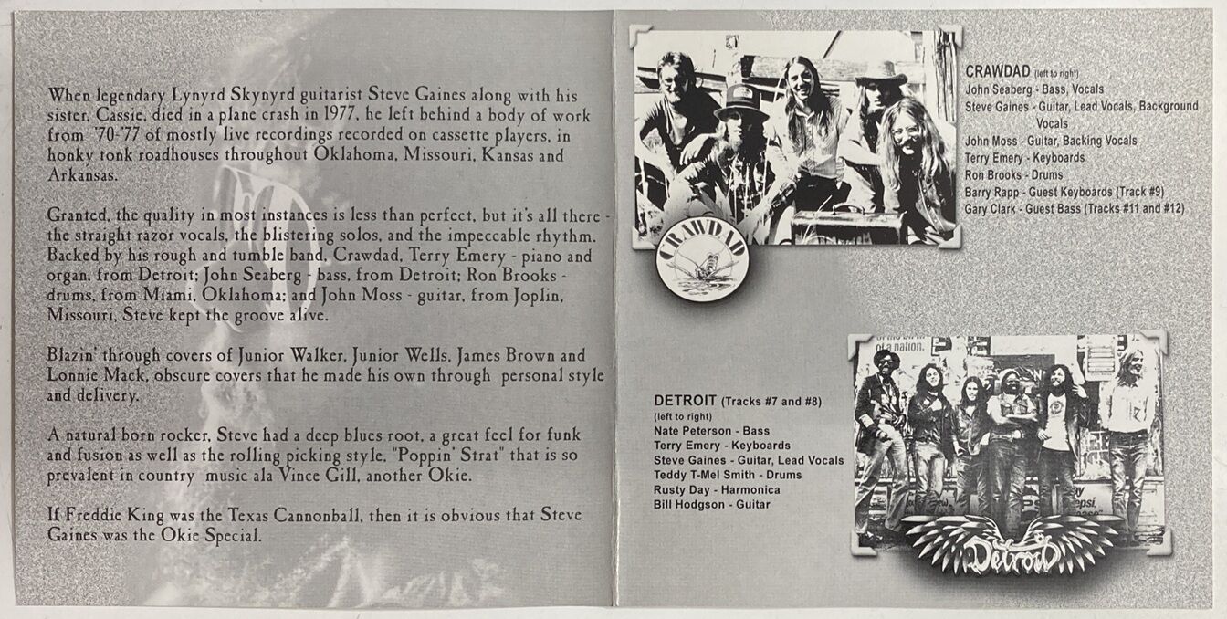 Steve Gaines(Lynyrd Skynyrd )の「ONE IN THE SUN」に加え、レア