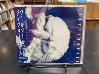 8/18(月)新着中古CD情報 BLUEBOY、DOLLY MIXTURE、GANGWAYなど