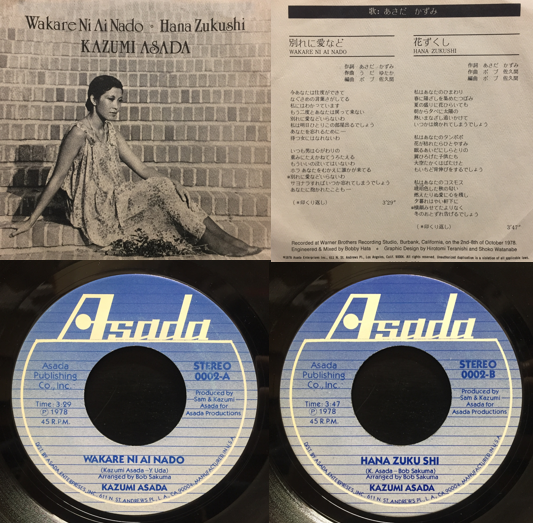 新品即決 シングルレコード エレクトロ ノ 和モ 函館いか踊り 自主制作 邦楽