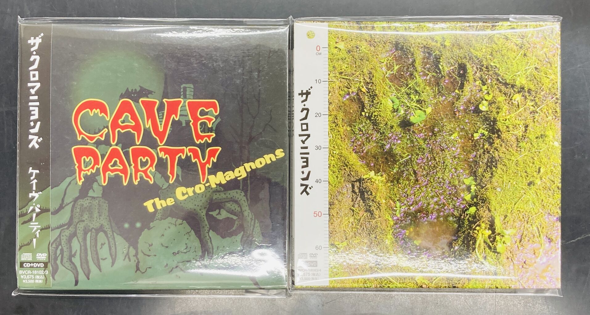 2026年9月26日(土) 新着中古品入荷情報 CD100点以上入荷いたしました