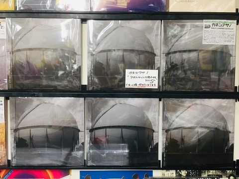 2023年3/14(火) 新譜入荷情報 カネコアヤノ新作弾き語りver 2023年3/14(火) 新譜入荷情報 カネコアヤノ新作弾き語りver