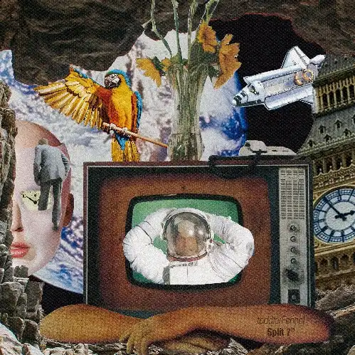 2025年2/13(木) 新譜入荷情報 : ディスクユニオン平成J-POPストア