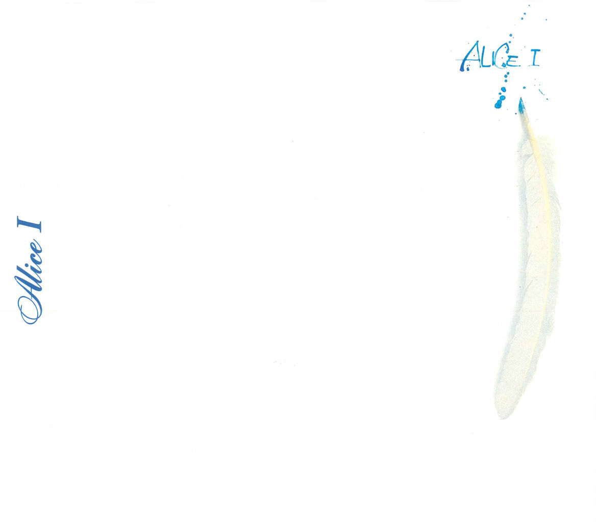 アリス　BOX アルバム　DVD　Ⅳ　Ⅴ　Ⅵ　Ⅶ　Ⅷ　Ⅸ　青春時代 チャンピオン アリス BOX アルバム DVD Ⅳ Ⅴ Ⅵ Ⅶ Ⅷ Ⅸ 青春時代 チャンピオン