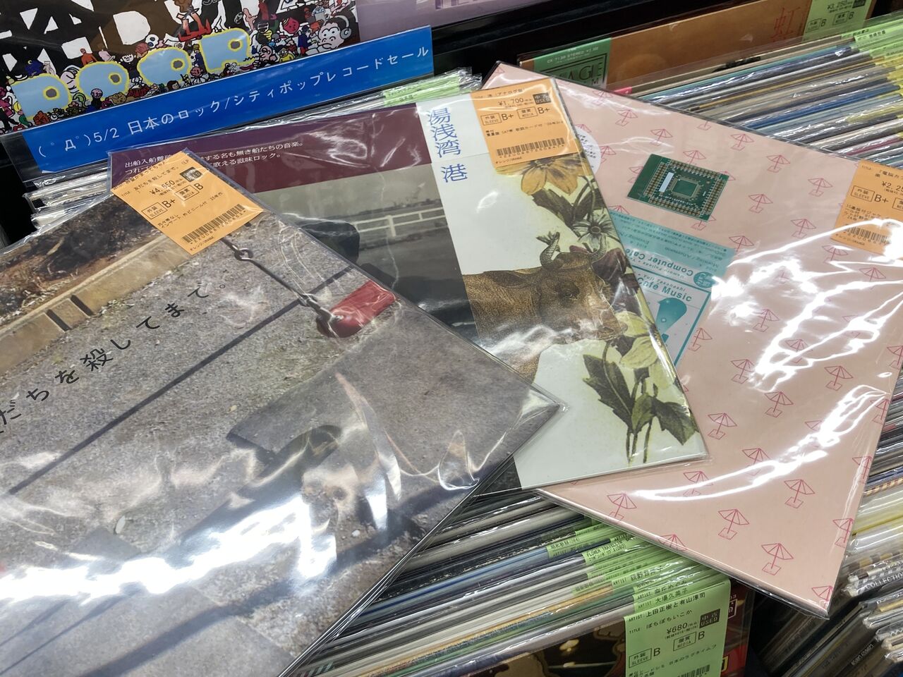2026年6月19日(金) ～新着中古品入荷情報～LP盤🌟近年・再発盤中心に