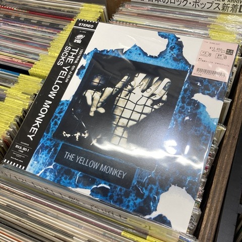 2026年9月25日(金) 新着中古品入荷情報 ザ・イエロー・モンキー関連 LP