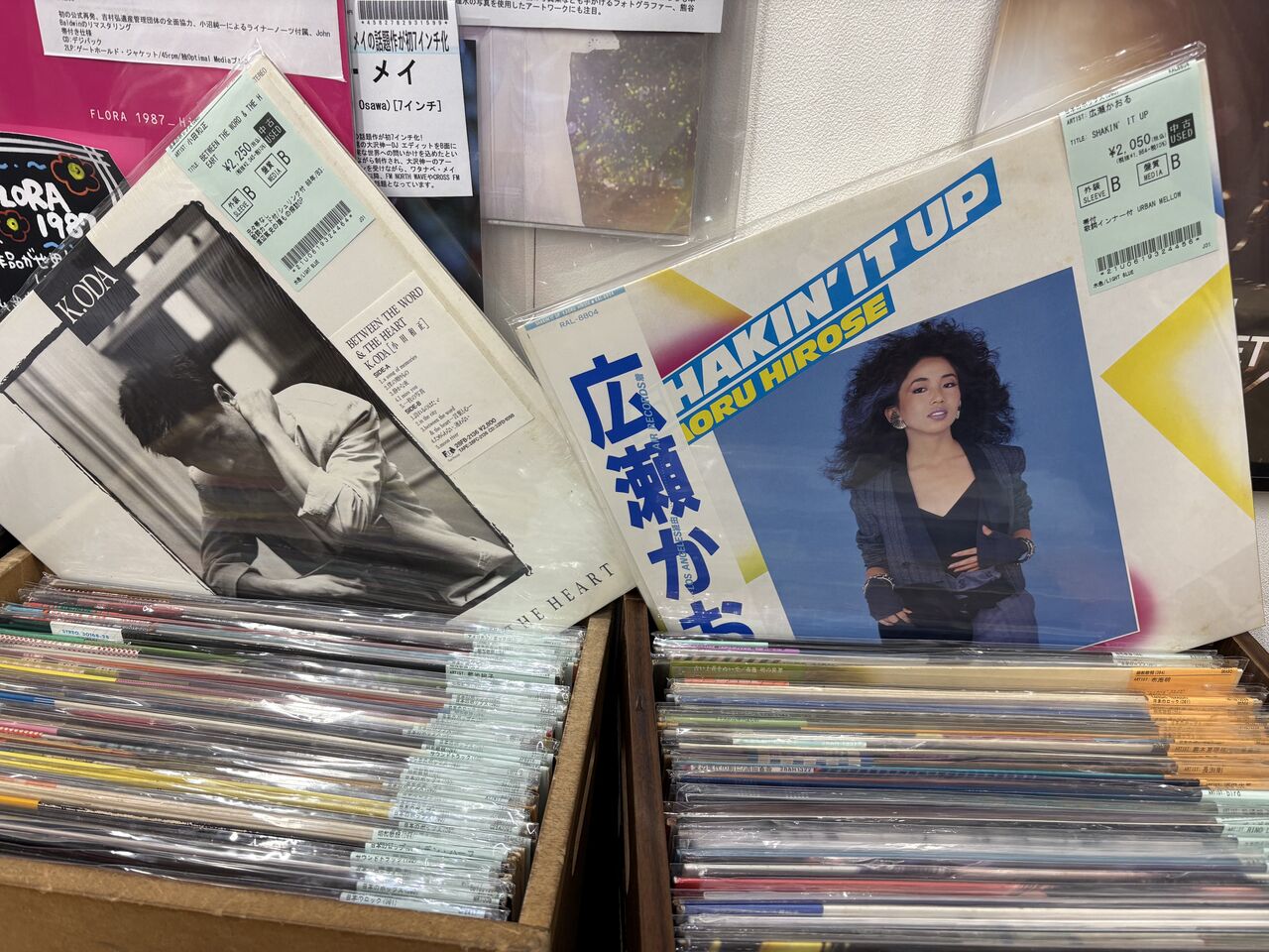 John Lurie 初版　帯付き　チラシ付き美品 John Lurie 初版 帯付き チラシ付き美品 John Lurie 初版 帯付き