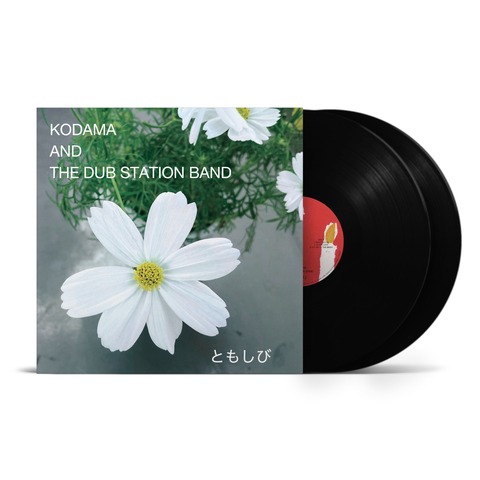 邦楽 KODAMA AND THE DUB STATION BAND 10inch 邦楽 KODAMA AND THE DUB STATION BAND 10inch KODAMA AND THE