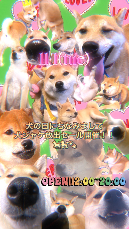 11/1(火)「犬ジャケセール」開催!! : ユニオンレコード新宿