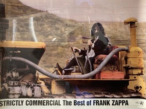 フランク・ザッパ 関連本/メモラビリア 100点入荷！ : ディスク