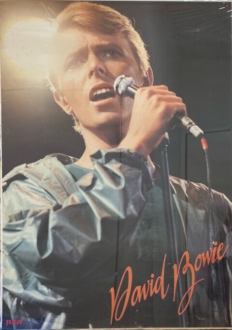 特大ポスターDavid Bowieデビッドボウイウェンブリースタジアム 特大ポスターDavid Bowieデビッドボウイウェンブリースタジアム 【公式