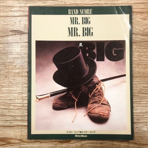 HR/HM 稀少バンドスコア多数入荷 ブルー・マーダー/トニー・マカパイン