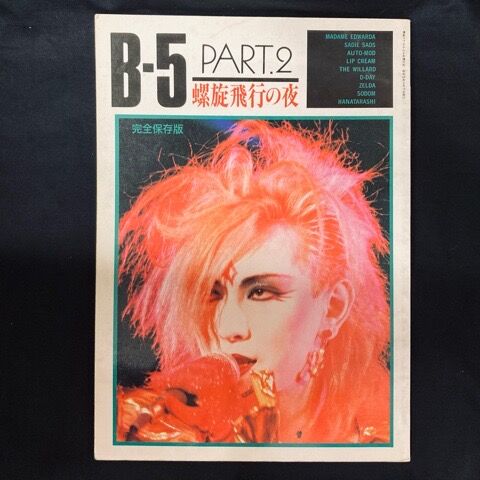 80年代日本のパンク/ニューウェーヴ＞ミニコミ/書籍/パンフ 大