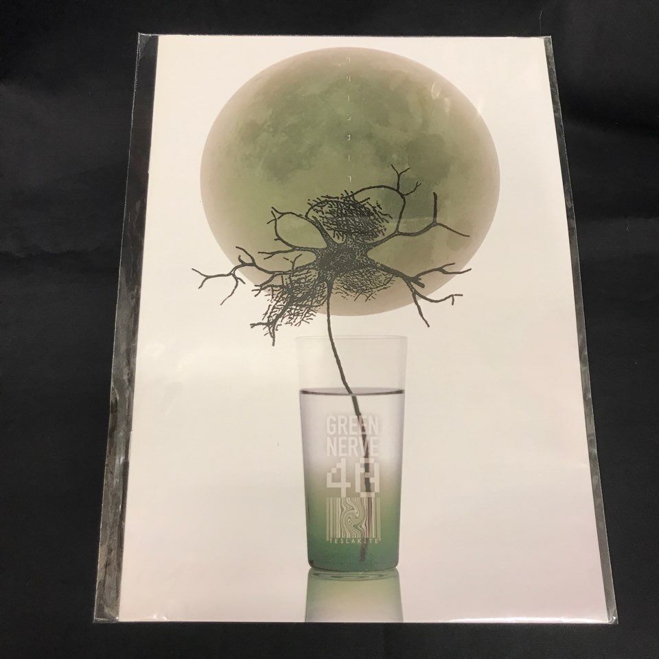 平沢進ファンクラブ会報 GREEN NERVE 入荷! : ディスクユニオン 平沢進ファンクラブ会報 GREEN NERVE 入荷! : ディスクユニオン