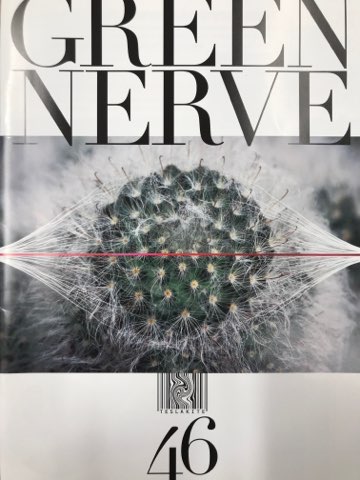 平沢進 ファンクラブ会報 Vol.2 GREEN NERVE グリーンナーブ2号