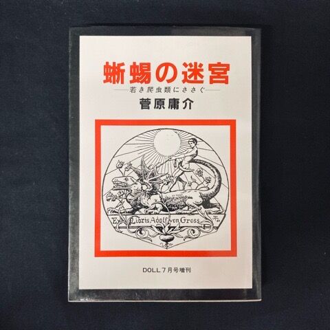 80年代日本のパンク/ニューウェーヴ＞ミニコミ/書籍/パンフ 大