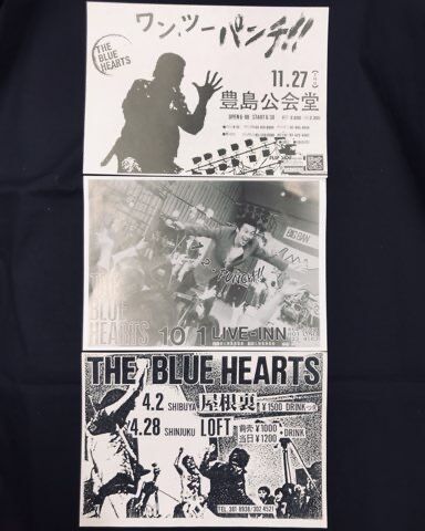 THE BLUE HEARTS ブルーハーツ 会報 DM 6冊 青心会 THE BLUE HEARTS ブルーハーツ 会報 DM 6冊 青心会(THE BLUE