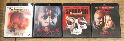 DVD ホラー映画 21枚 まとめ売り DVD ホラーマニア VS 5人のシリアルキラー レンタル落ち