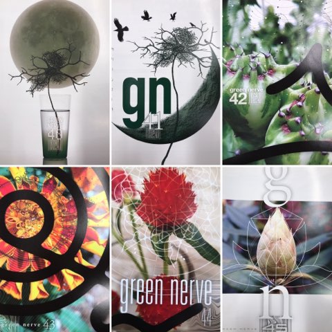 平沢進ファンクラブ会報誌『GREEN NERVE』Vol.28~46他 平沢進ファンクラブ会報誌『GREEN NERVE』Vol.28~46他