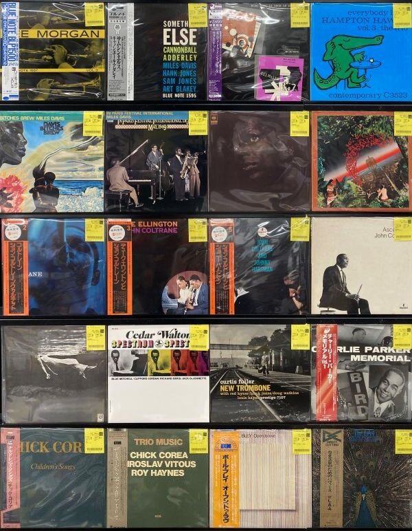 merged-image-2025- (3)