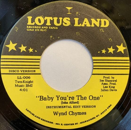 7INCH レコード / THE REBIRTH EVIL VIBRATIONS Lovers rock