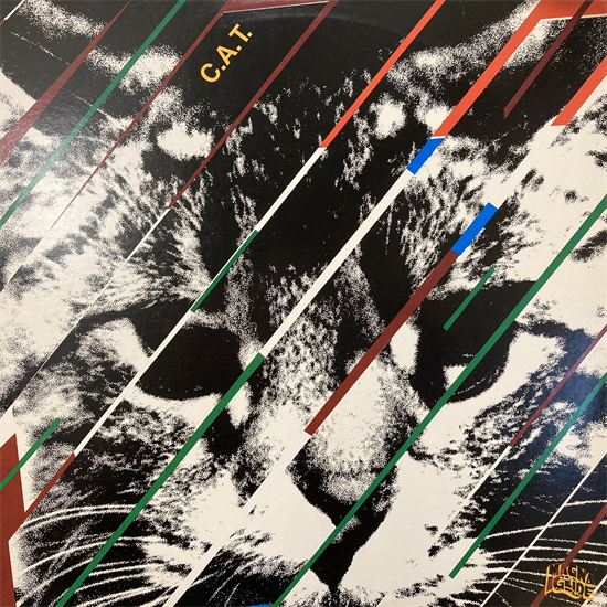 Amazon.co.jp: （122）LD （洋画）両面 帯有 スクリーム【字幕