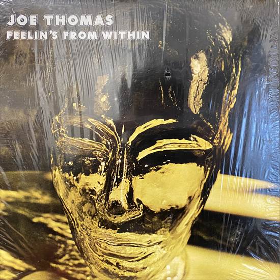 Feelin's -joe ⁄ Joe thomas(音楽)の中古品 Within From THOMAS JOE