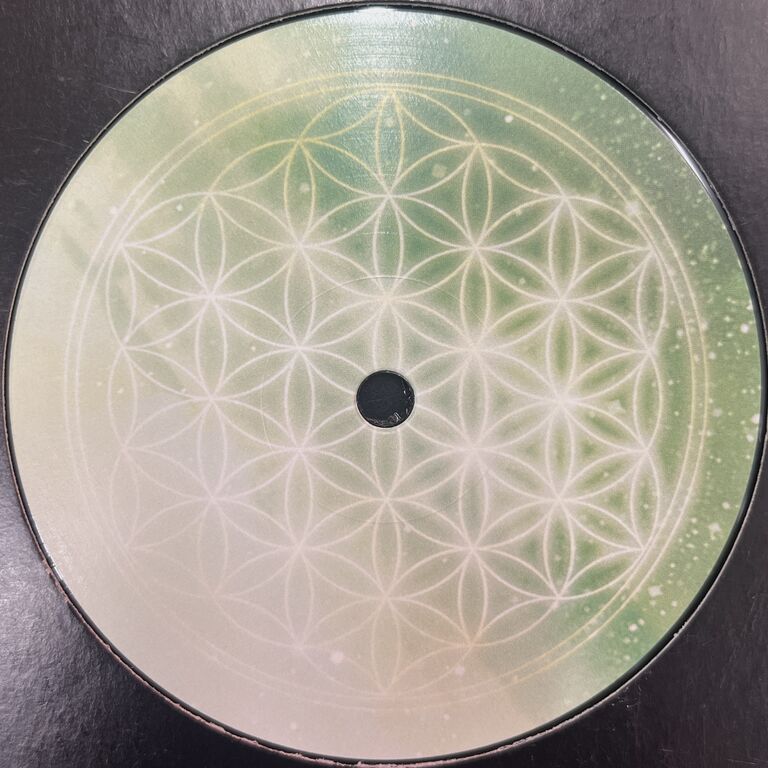 ☆レア☆Plastikman / Closer / 12×3枚 【公式通販】