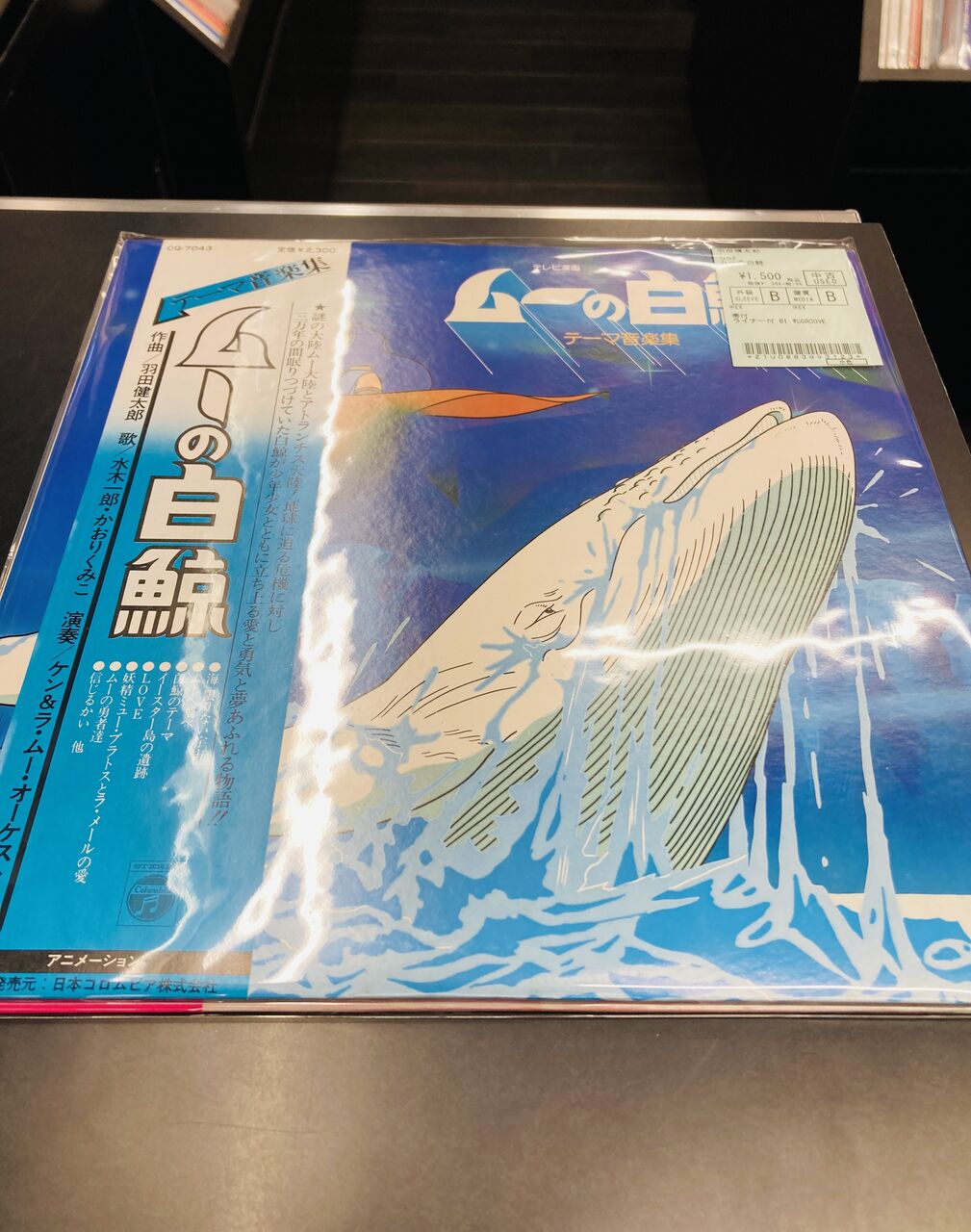 937d9d6d.jpg