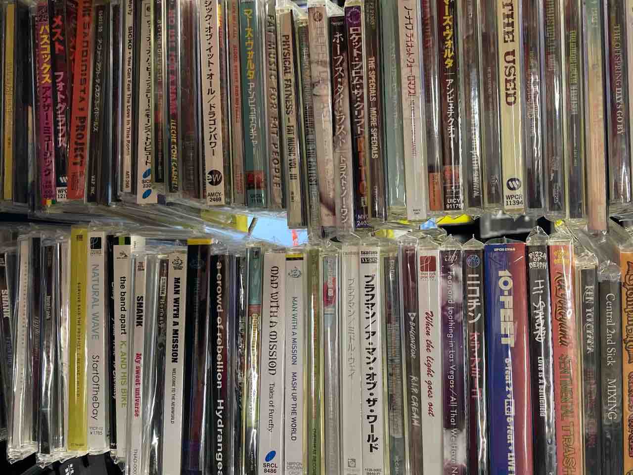 国内PUNK/MELODIC中心に中古CDがまとまって入荷いたしました