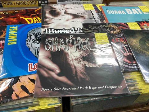 NYHC/NEW SCHOOL、PSYCHOBILLY等中古LPが入荷!! : ディスクユニオン