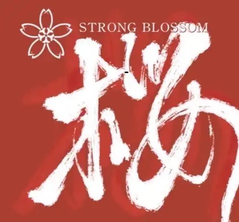 PUNK HARDCORE ROCK emo メロディックパンク CDセット② PUNK HARDCORE ROCK emo メロディックパンク CDセット② パンク