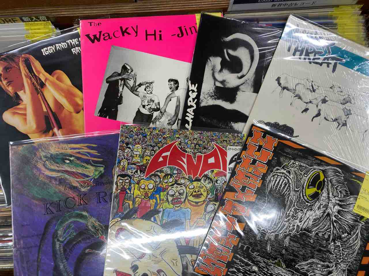 PUNK/HC/GARAGEのレコードが大量入荷!! LP① : ディスクユニオン新宿