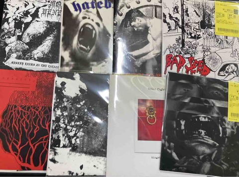 METAL CORE / SxE / NEWSCHOOL中心に7INCH入荷!! : ディスクユニオン