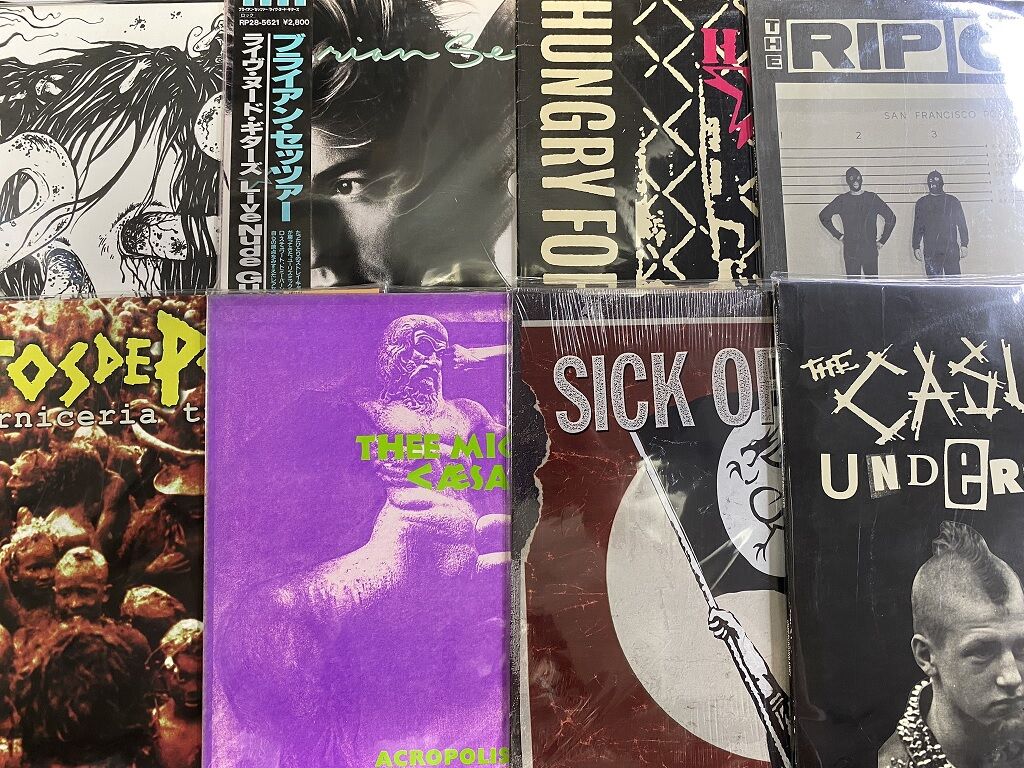 Squiggy ANTI ESTABLISHMENT パンク レコード ※未使用 Squiggy ANTI ESTABLISHMENT パンク レコード ※未使用 【公式通販】