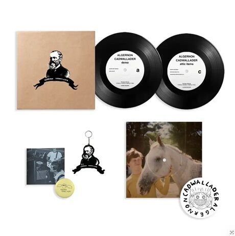 ☆PUNK新譜入荷情報☆2026/7/17 : ディスクユニオン新宿パンクマーケット