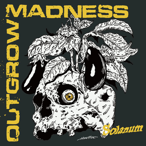 ☆PUNK新譜入荷情報☆2026/6/25 : ディスクユニオン新宿パンクマーケット