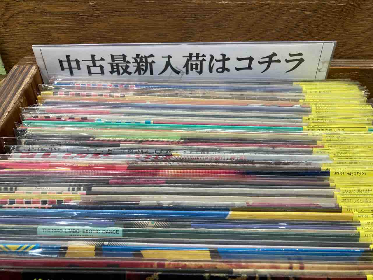 70's～80's PUNKを中心に中古LPが入荷!! : ディスクユニオン新宿パンク