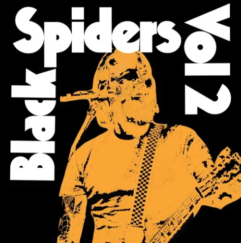 2025年4月12日 RECORD STORE DAY 限定商品 : ディスクユニオン