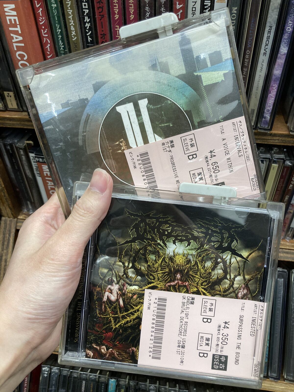 After The Burialレコード　メタルコア　デスコア 2024年上半期】デスコアの名盤10選 アルバムレビュー | RIFF CULT