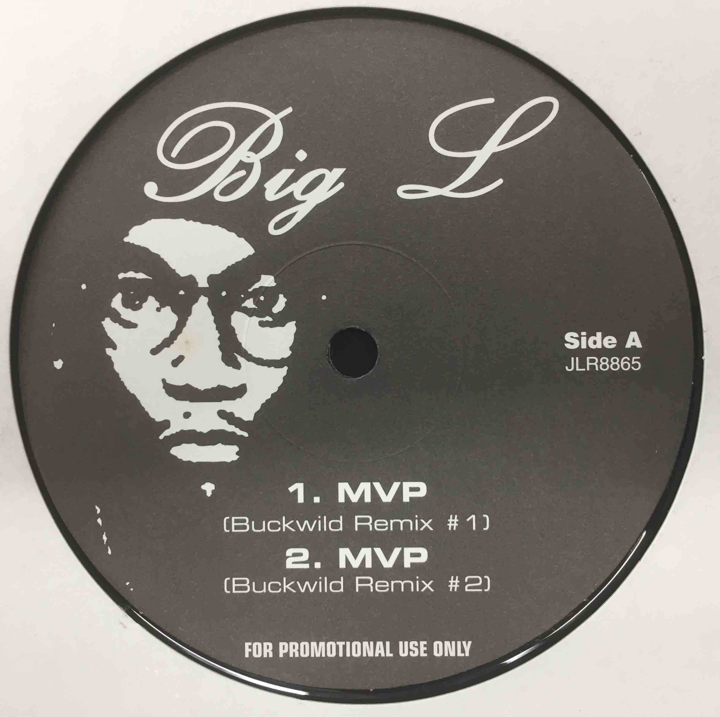 hip hop レコード BIG L 2LP Big L - Now or Never LP レコード hip